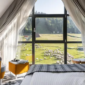 https://apartamenty-pod-stokiem-nosal-zakopane.zakopanehotels.org